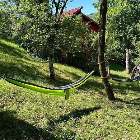 Casa Lupilor Transfagarasan Vila Căpăţîneni-Ungureni Exterior foto