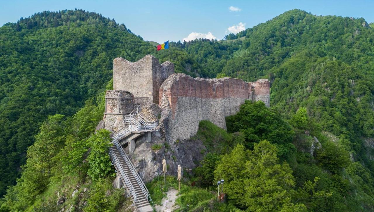 Casa Lupilor Transfagarasan Vila Căpăţîneni-Ungureni Exterior foto