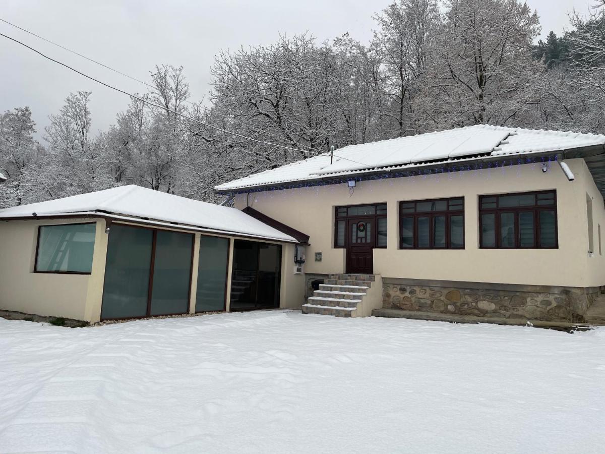 Casa Lupilor Transfagarasan Vila Căpăţîneni-Ungureni Exterior foto