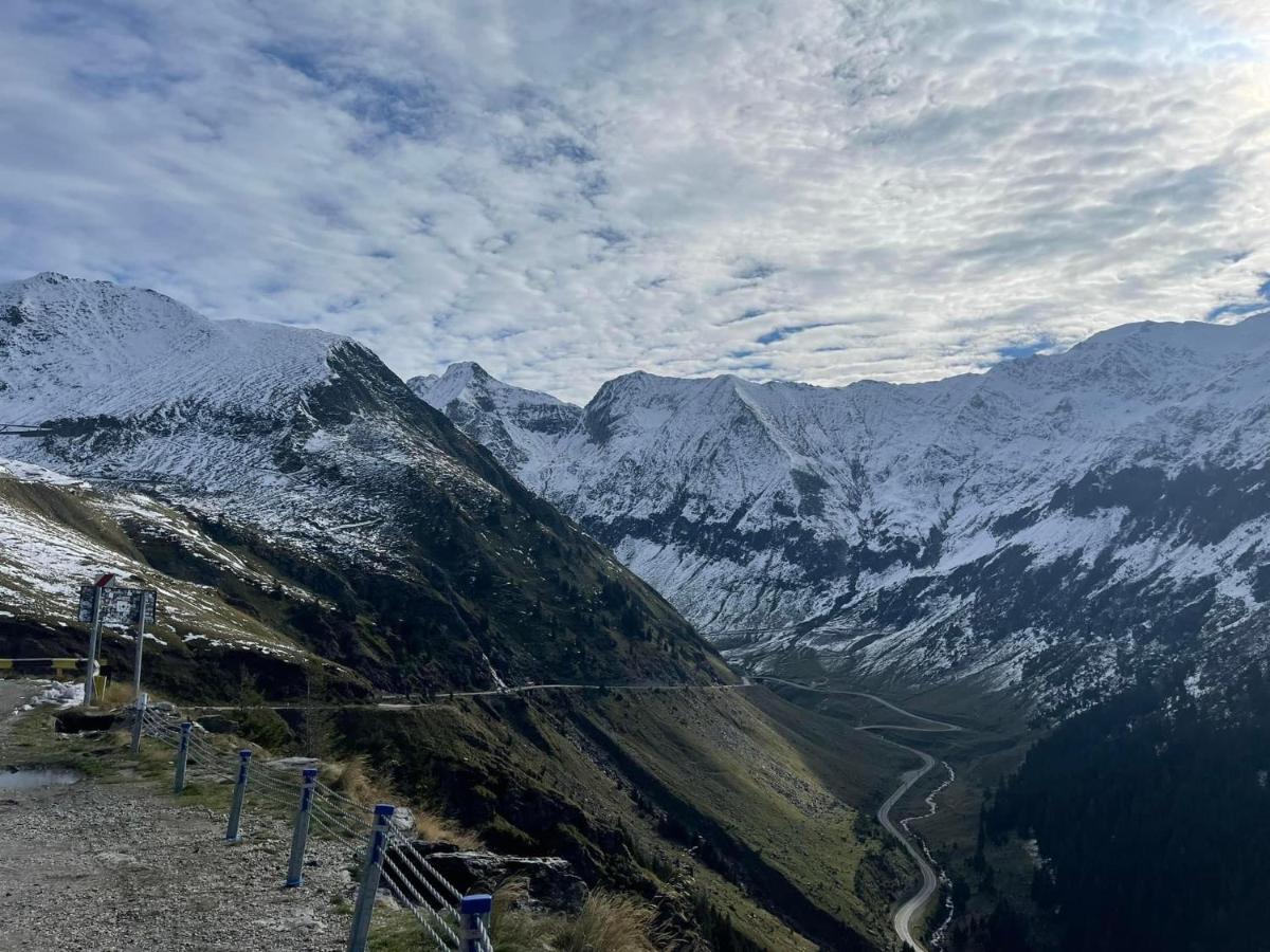 Casa Lupilor Transfagarasan Vila Căpăţîneni-Ungureni Exterior foto