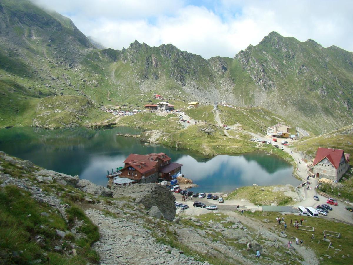Casa Lupilor Transfagarasan Vila Căpăţîneni-Ungureni Exterior foto