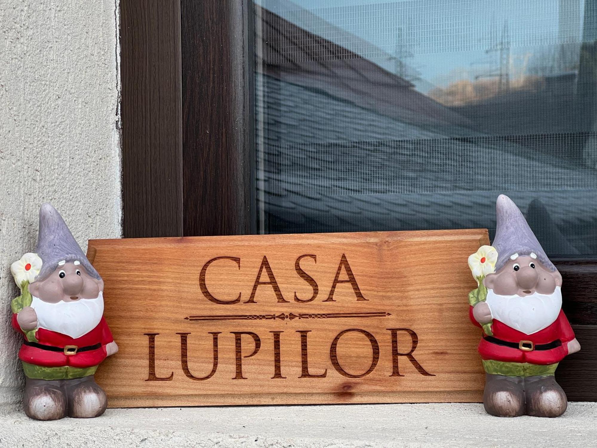 Casa Lupilor Transfagarasan Vila Căpăţîneni-Ungureni Exterior foto
